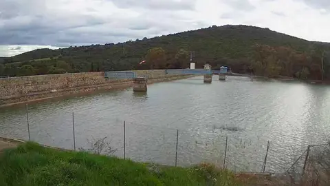 presa-gasset