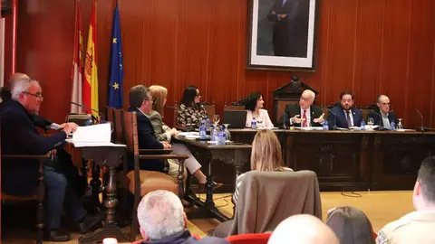 pleno-manzanares
