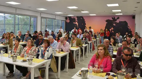 cata-a-ciegas