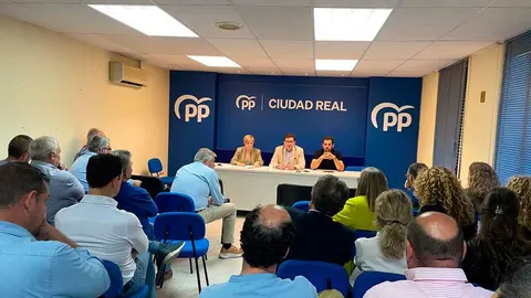 comit&eacute;-pp