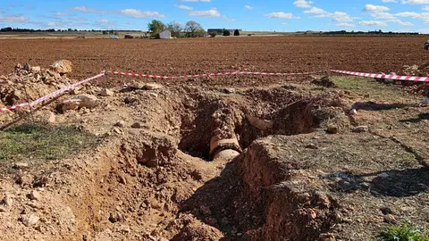 tuber&iacute;a-manzanares