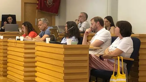 pleno-psoe