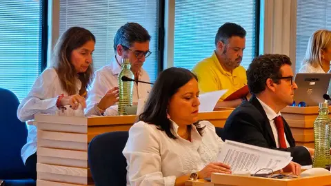 vox-pleno