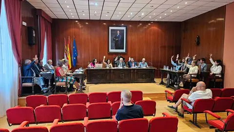 pleno-manzanares