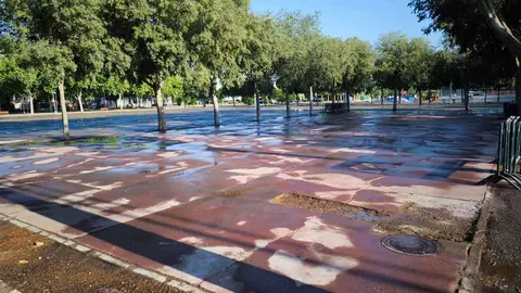 limon&aacute;-limpieza-5
