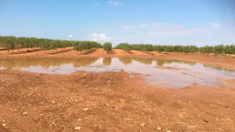 campo-montiel-sequ&iacute;a-campo
