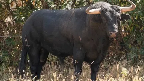 mart&iacute;n-lorca