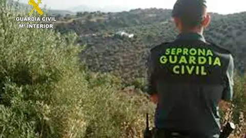 seprona-guardia-civil