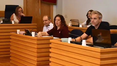 pleno-sara-psoe
