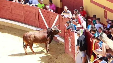 encierros-almod&oacute;var-2025