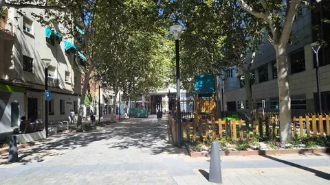 peatonalizaci&oacute;n-1