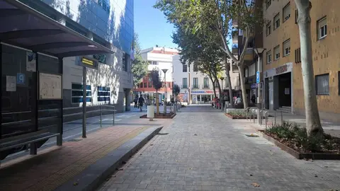 peatonalizaci&oacute;n-2