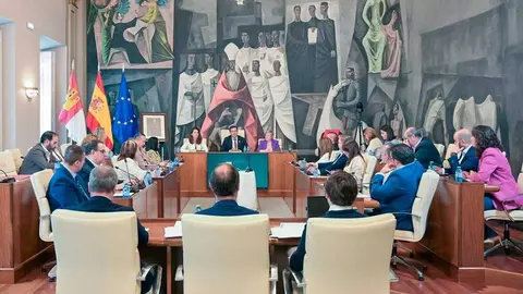 pleno-diputaci&oacute;n