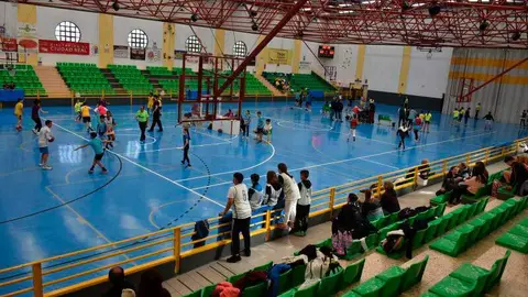 pabellon-david-c&oacute;rdoba-daimiel