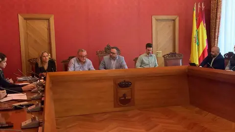 tomelloso-pleno