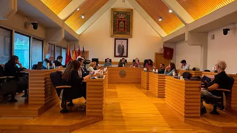 zbe-consejo-movilidad