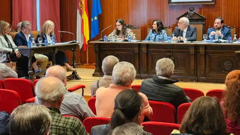 pleno-manzanares