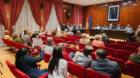 pleno-manzanares-2