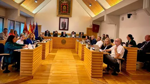 pleno-octubre