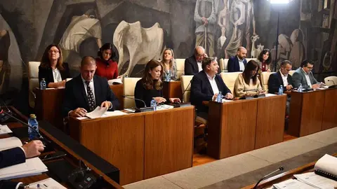 grupo-psoe-diputaci&oacute;n