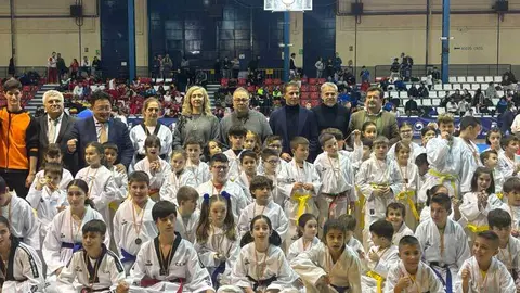 vox-taekwondo
