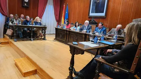 pleno-manzanares