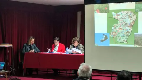 asamblea-montesur