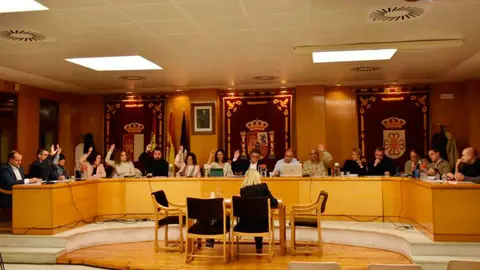 pleno-daimiel