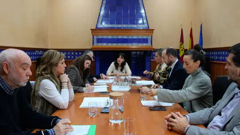 comisi&oacute;n-paseo-del-bosque-puertollano