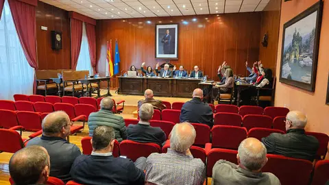pleno-manzanares-diciembre