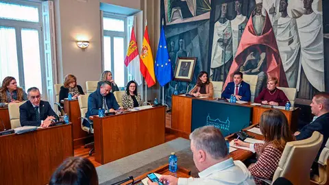 pleno-diputaci&oacute;n-enero