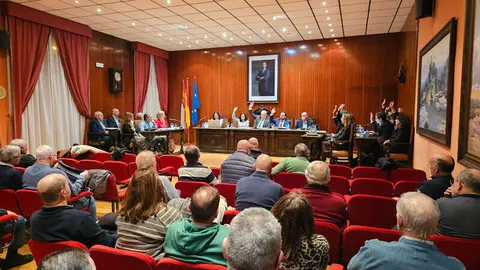 presupuesto-manzanares