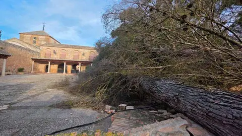 santuario-virgen-cruces