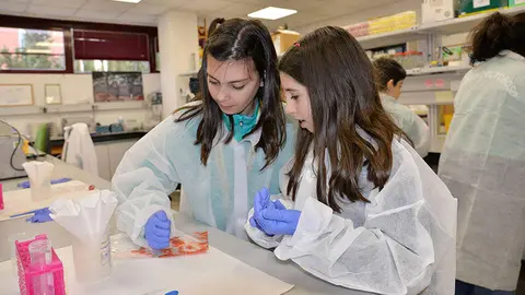 dia-ni&ntilde;a-ciencia-2025