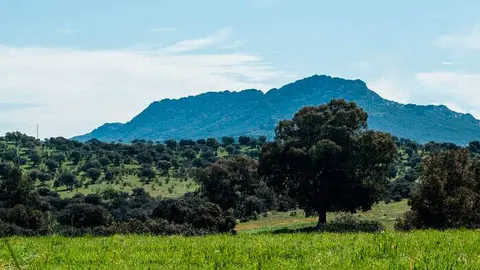 dehesa-castilseras-1