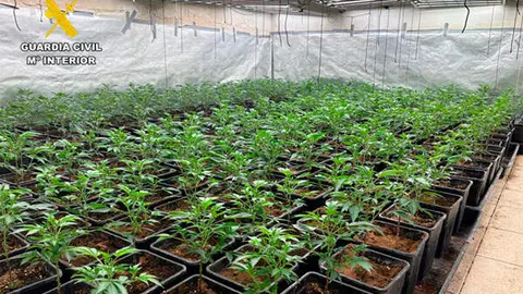 marihuana-1