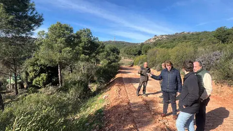 bosques
