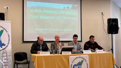 cuas-mancha-occidental