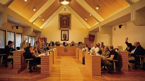 pleno-ciudad-real