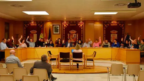 pleno-daimiel-abril-2026