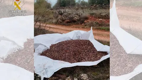hurto-aceituna-campo-guardia-civil