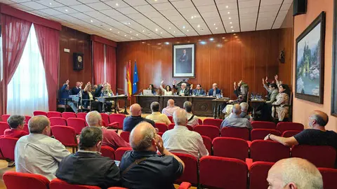 pleno-manzanares