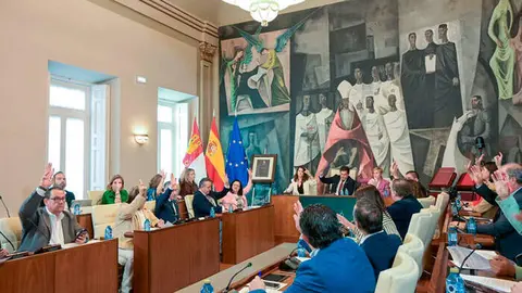 pleno-dipu-2