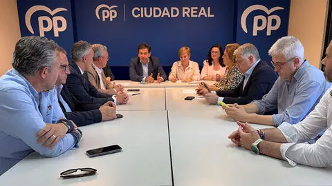 comit&eacute;-direcci&oacute;n-pp