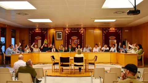 pleno-daimiel