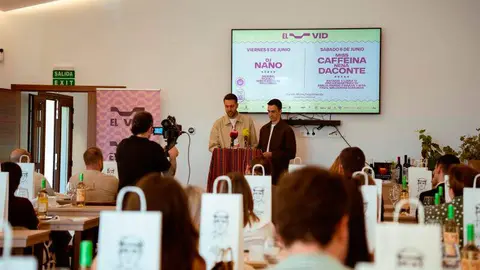 vid-festival