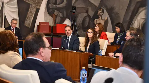 grupo-socialista-diputaci&oacute;n