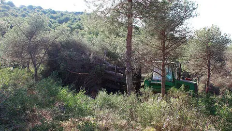 montes