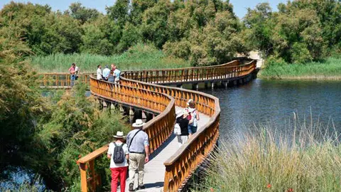 tablas-daimiel