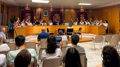 pleno-daimiel-junio